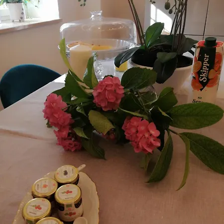 Il Glicine Bed and Breakfast Pellezzano